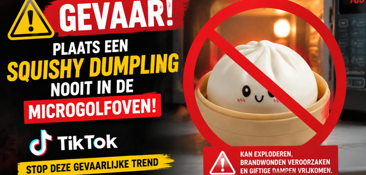 TikTok-trend Squishy Dumpling
